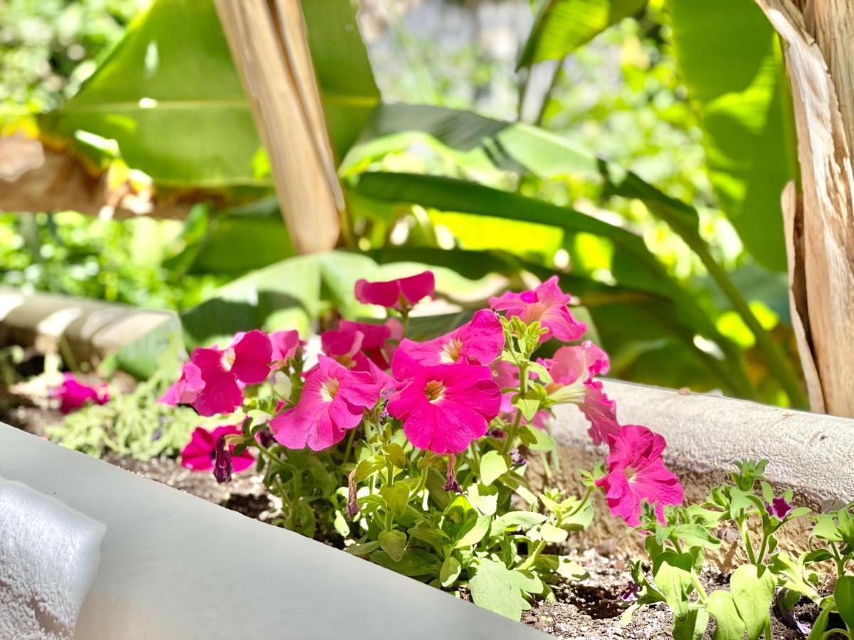 Real Golden Mile -eaw Homes Appartement Marbella
